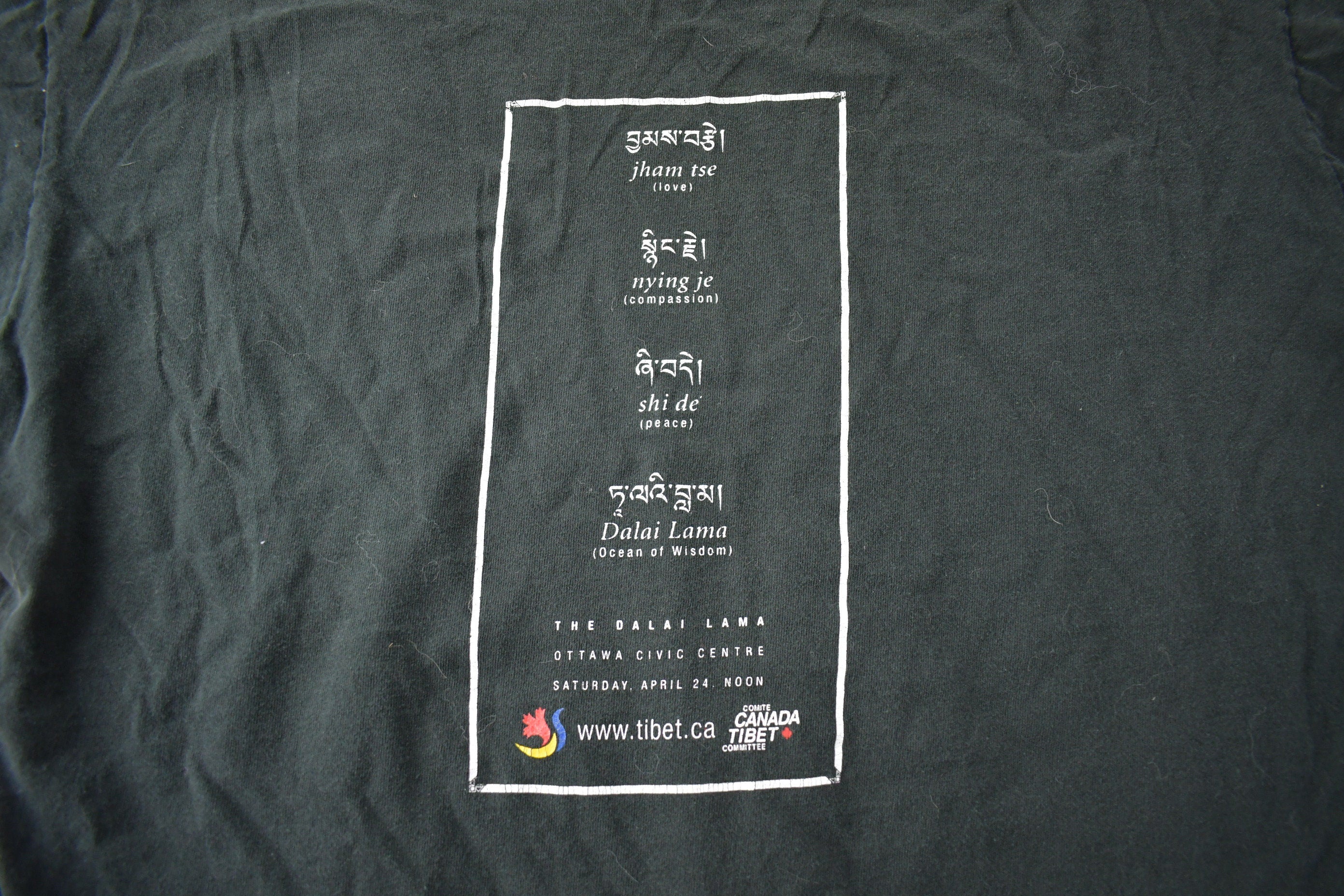 Vintage 2004 Dalai Lama Ottawa Souvenir T Shirt