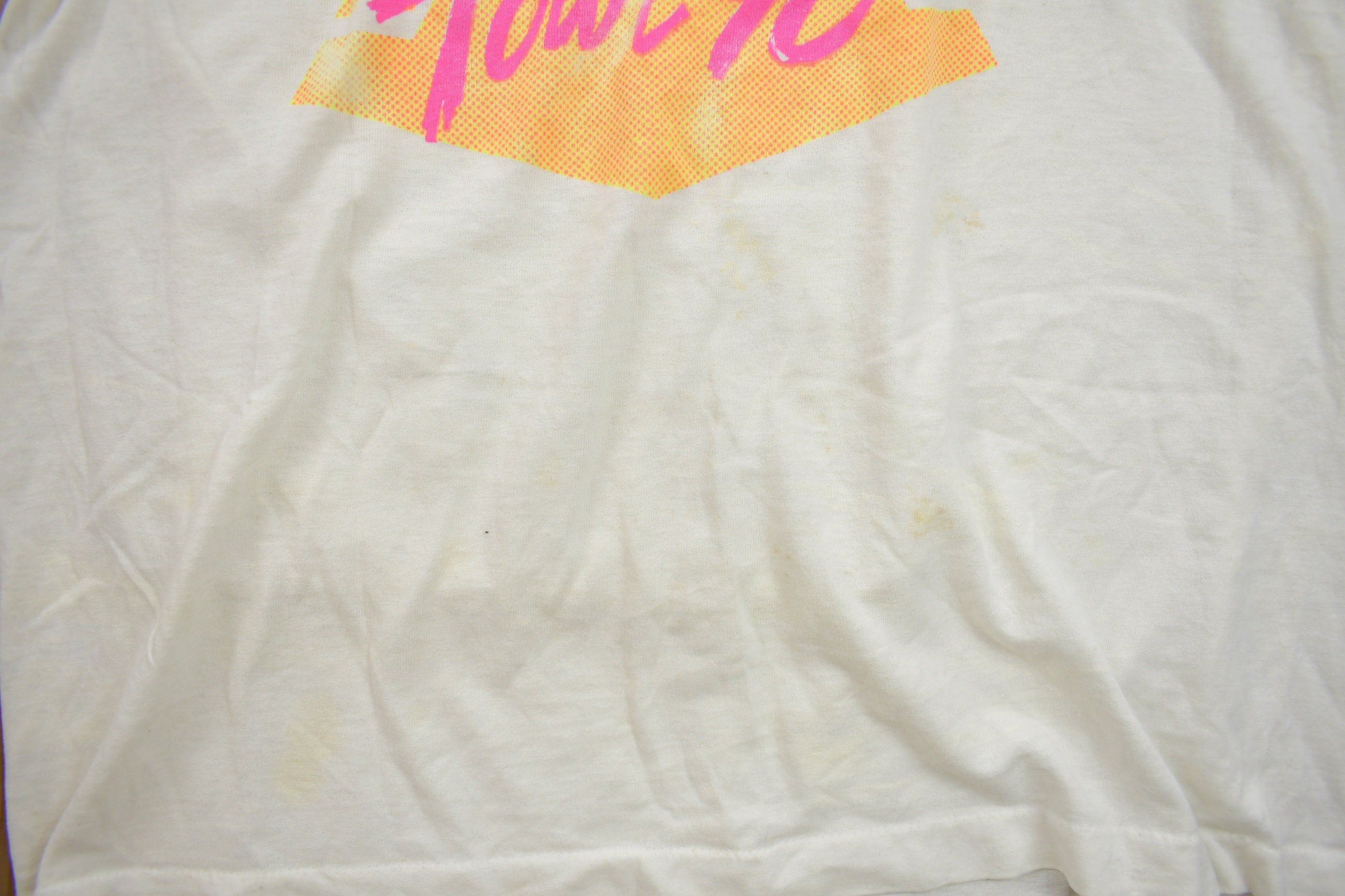 Vintage 1990 Millard Fillmore New York Souvenir T Shirt