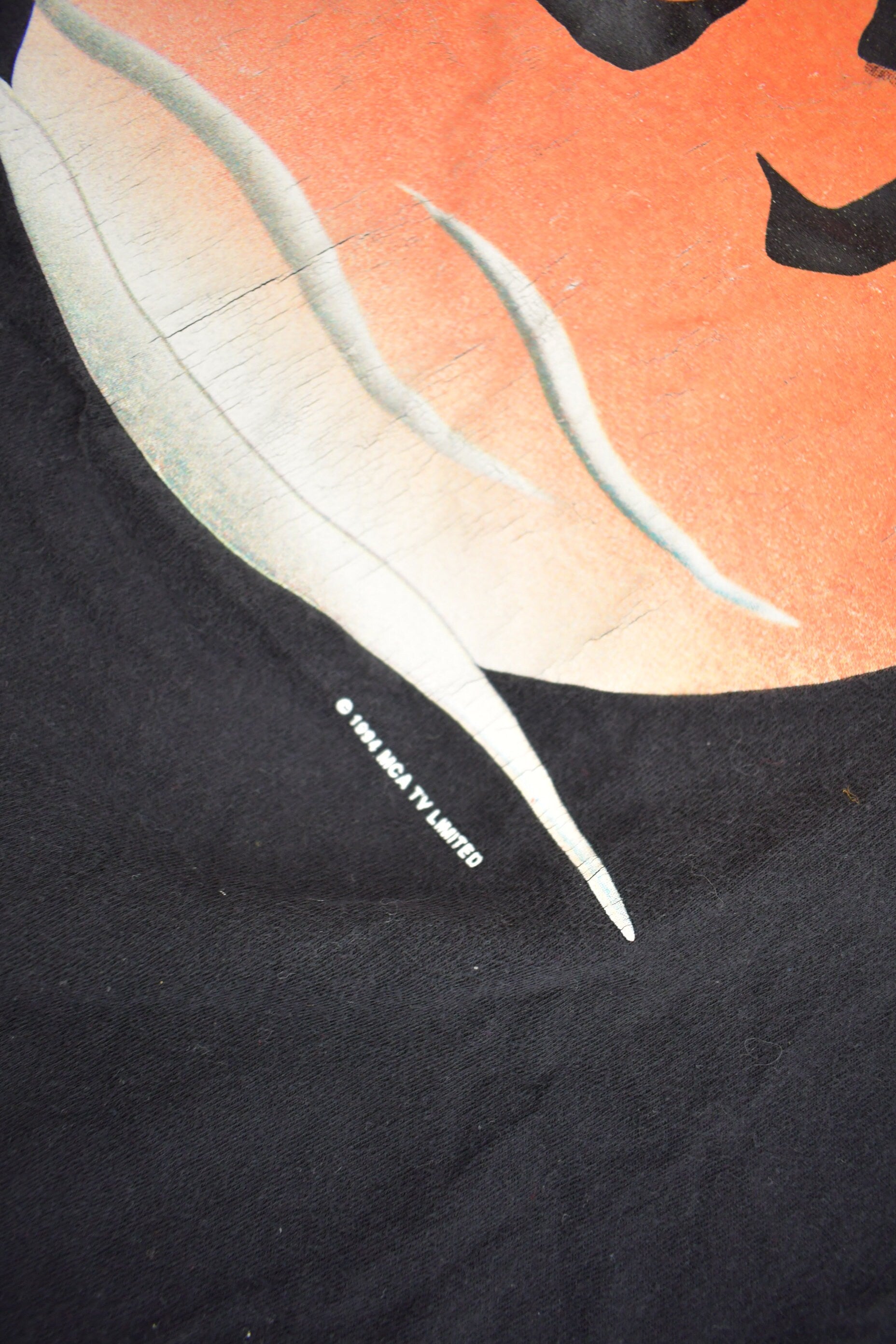 Vintage 1994 Vanishing Son Long Sleeve Graphic T Shirt