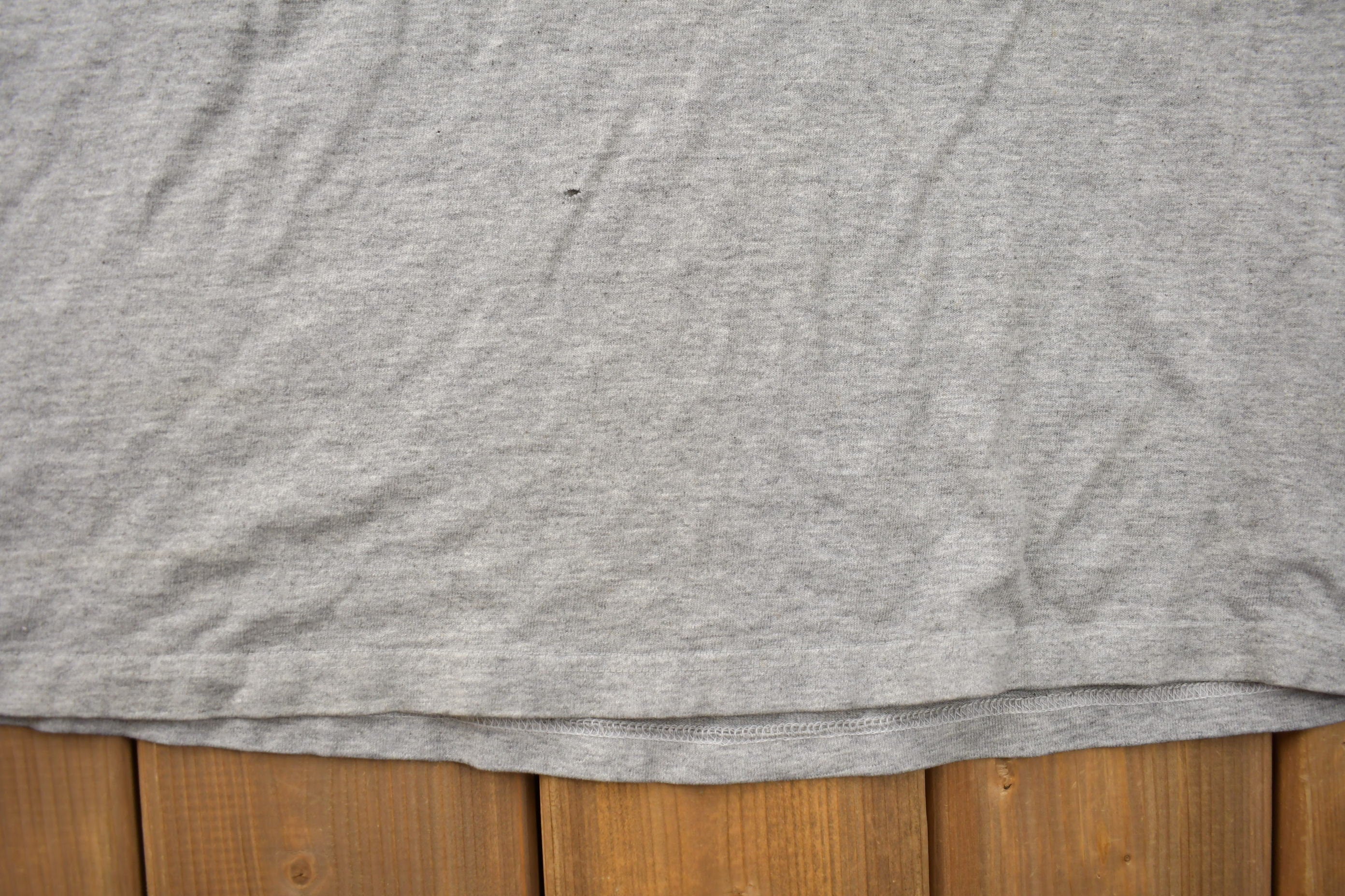 Vintage 1990s Detroit Lions Helmet NFL Starter Pro Line T Shirt