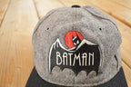 Vintage Y2K Youth Batman The Animated Series Comic Book Snapback Hat / 2000's Embroidered Cap