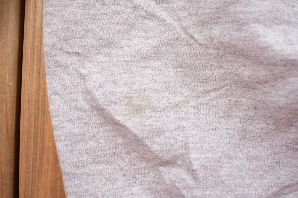 Vintage 1990s Champion Blank Grey Crewneck Sweatshirt