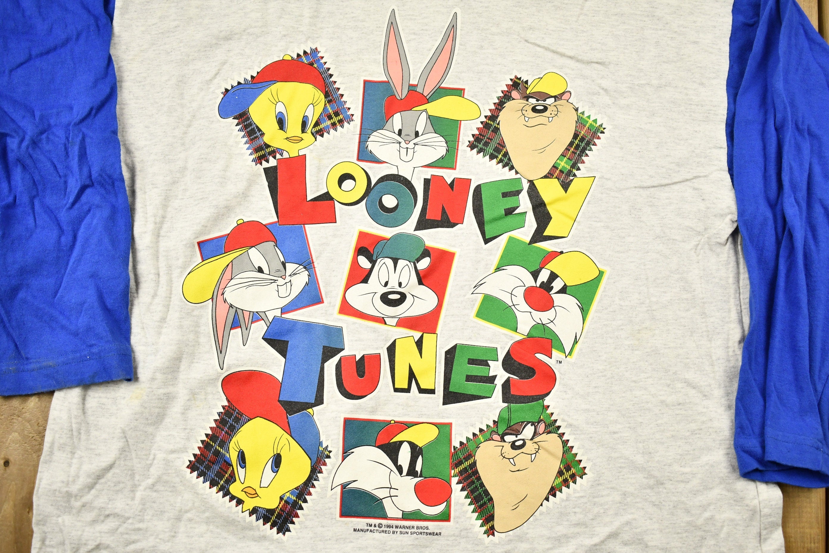 Vintage 1994 Looney Tunes Light Weight Hoodie