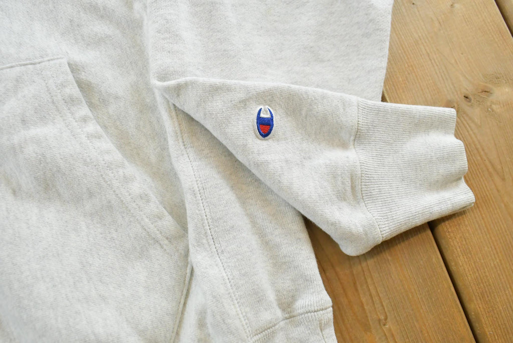 Vintage Y2K Wentworth College Champion Reverse Weave Hoodie Sweatshirt Men's M / 2000s Heavyweight Sweater / Collegiate