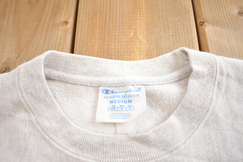Vintage 1990s HIllsdale College Champion Reverse Weave Crewneck Made In USA