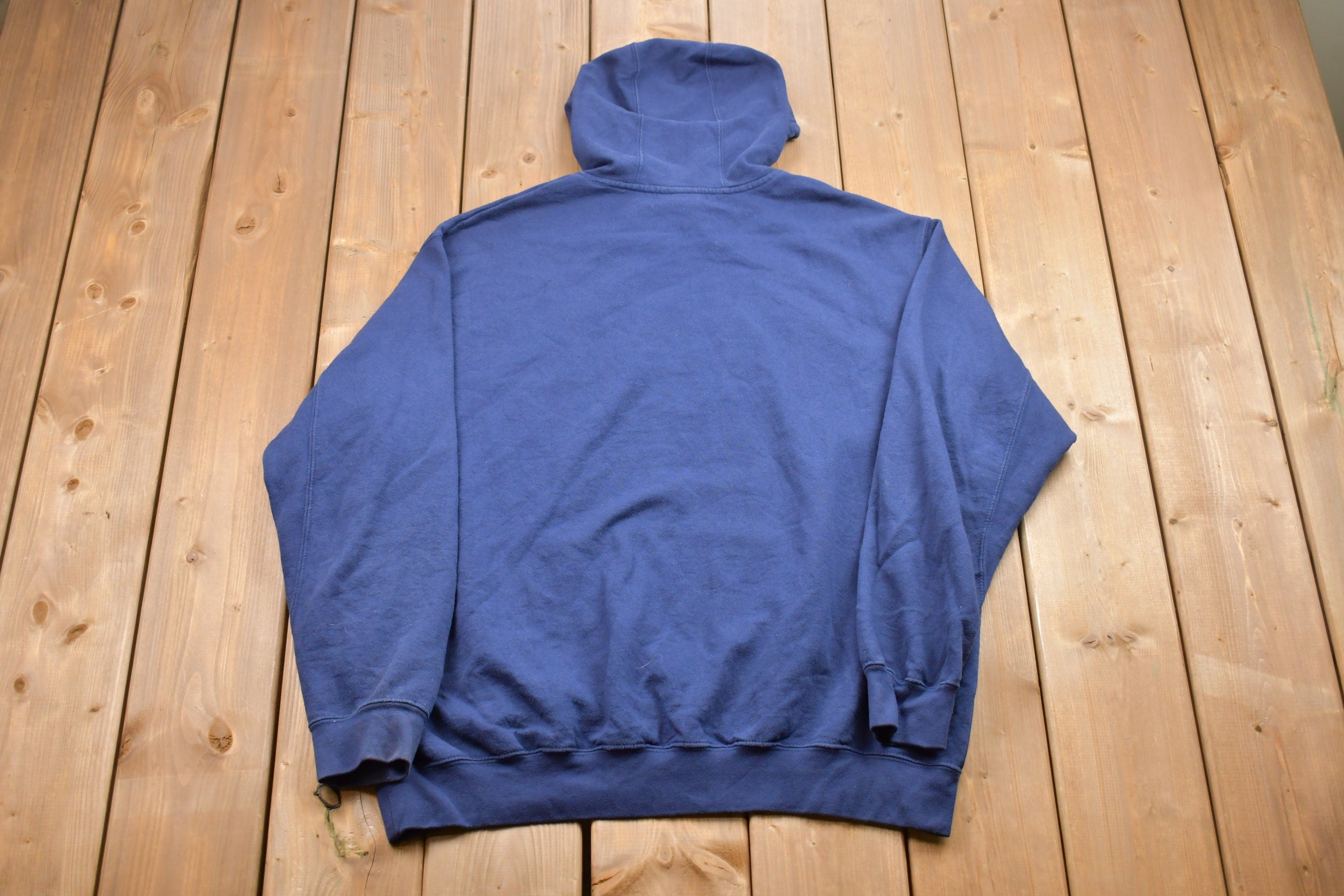 Vintage 1990s Detroit Lions Graphic Hoodie  MLB  90s Hoodie  Vintage Sweater  90s  Embroidered  Color Block  American Baseball