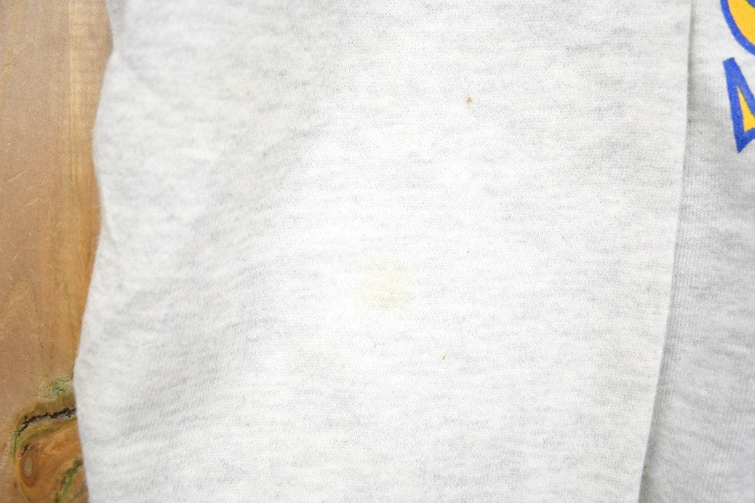 Vintage 1990s Delphos St.Johns Souvenir Crewneck