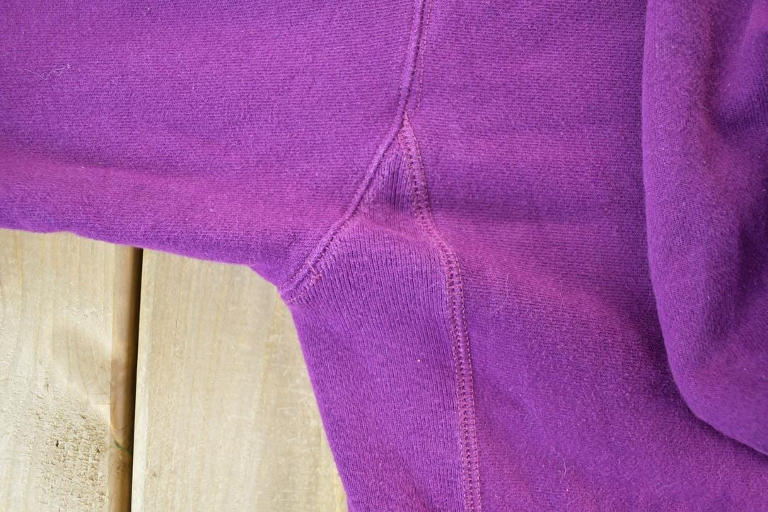 Vintage 1990s Champion Reverse Weave Hooded Sweatshirt