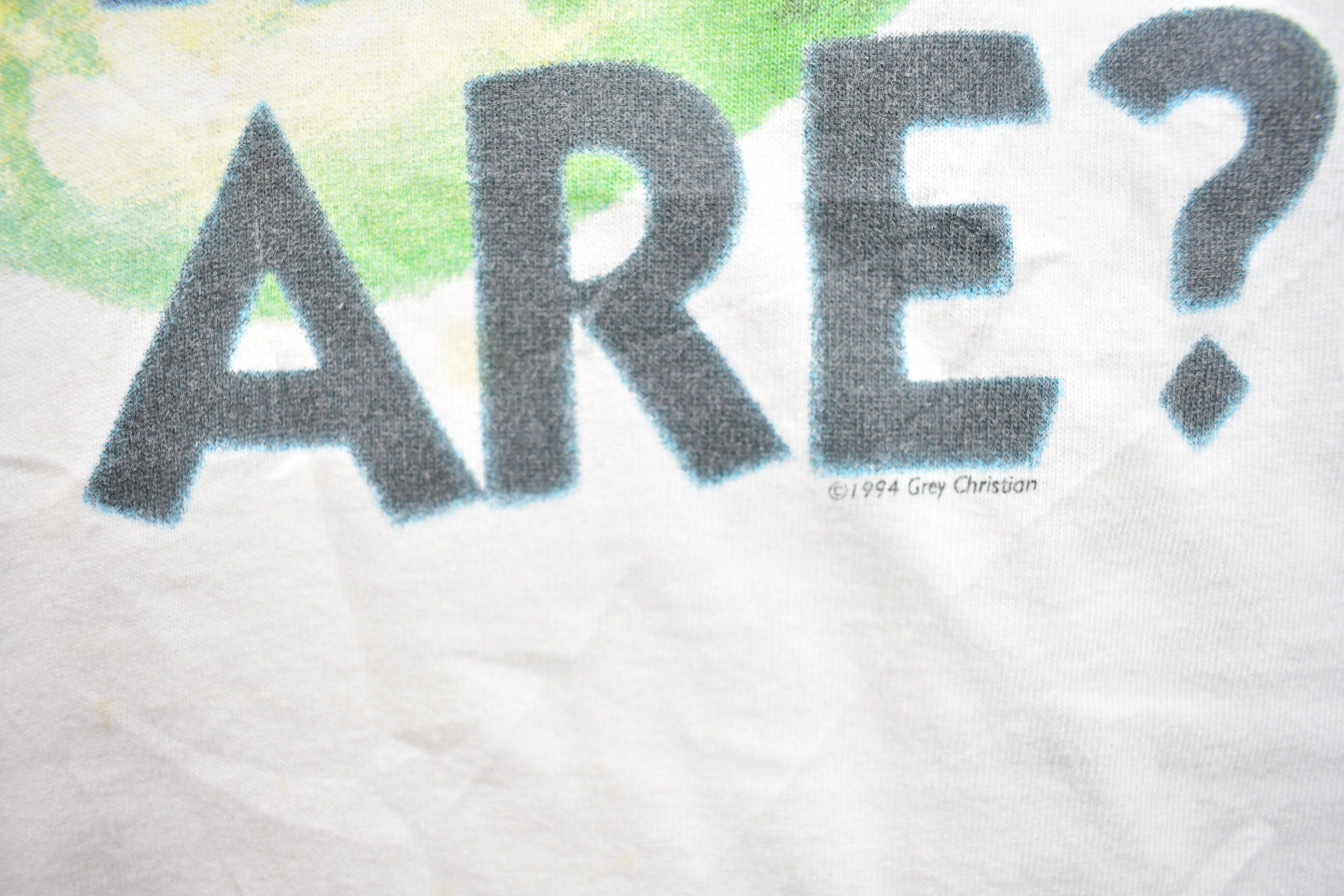 Vintage 1994 "Smart as we Think we Are" Graphic T Shirt