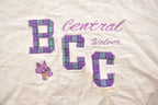 Vintage 1990s Bay City Central Wolves Collegiate Crewneck