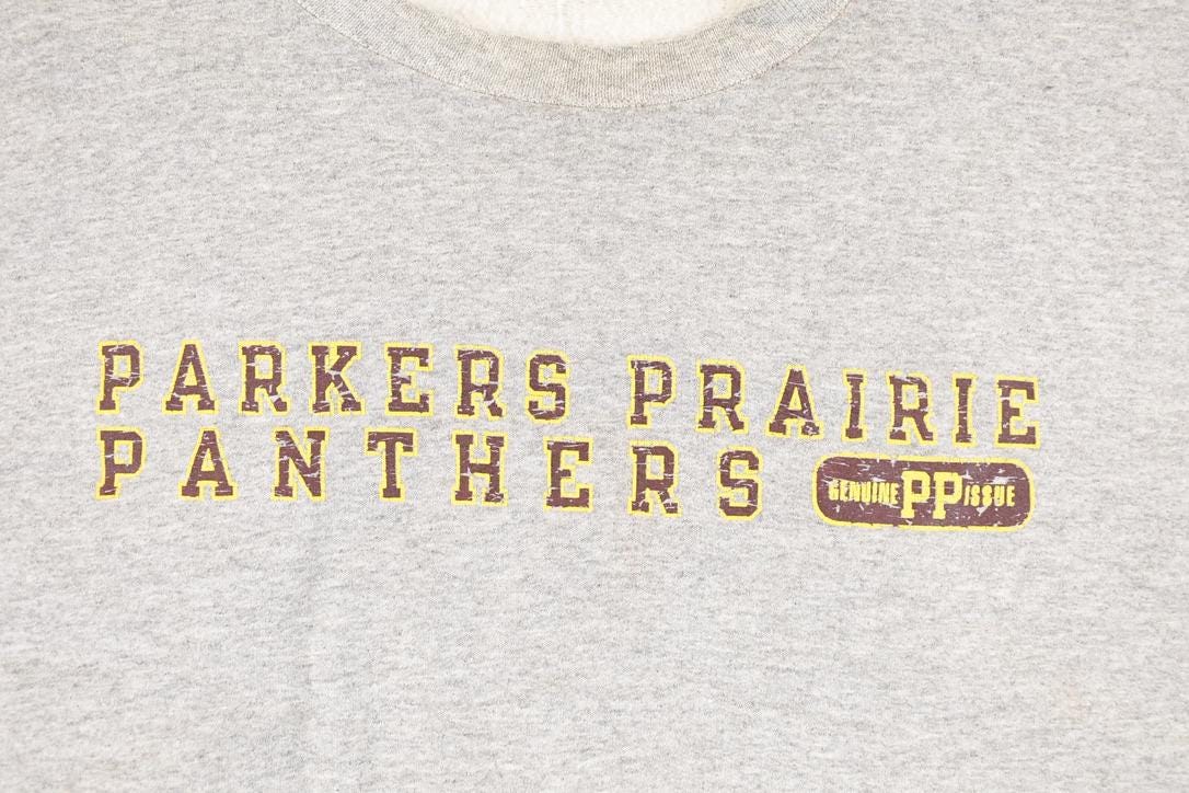 Vintage 1990s Parker Prairies Panthers Champion Graphic Print Crewneck Sweatshirt Men's XL