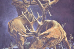 Vintage 1990s Ragtops Big Buck Outdoorsman Tie Dye T-Shirt Mens L