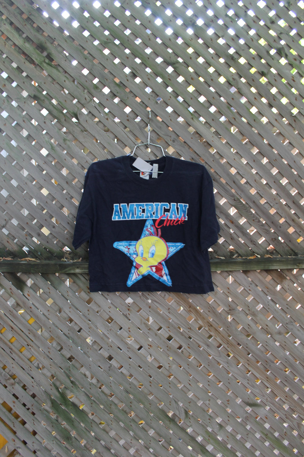 Vintage 1990s Looney Tunes Tweety Bird Graphic T Shirt