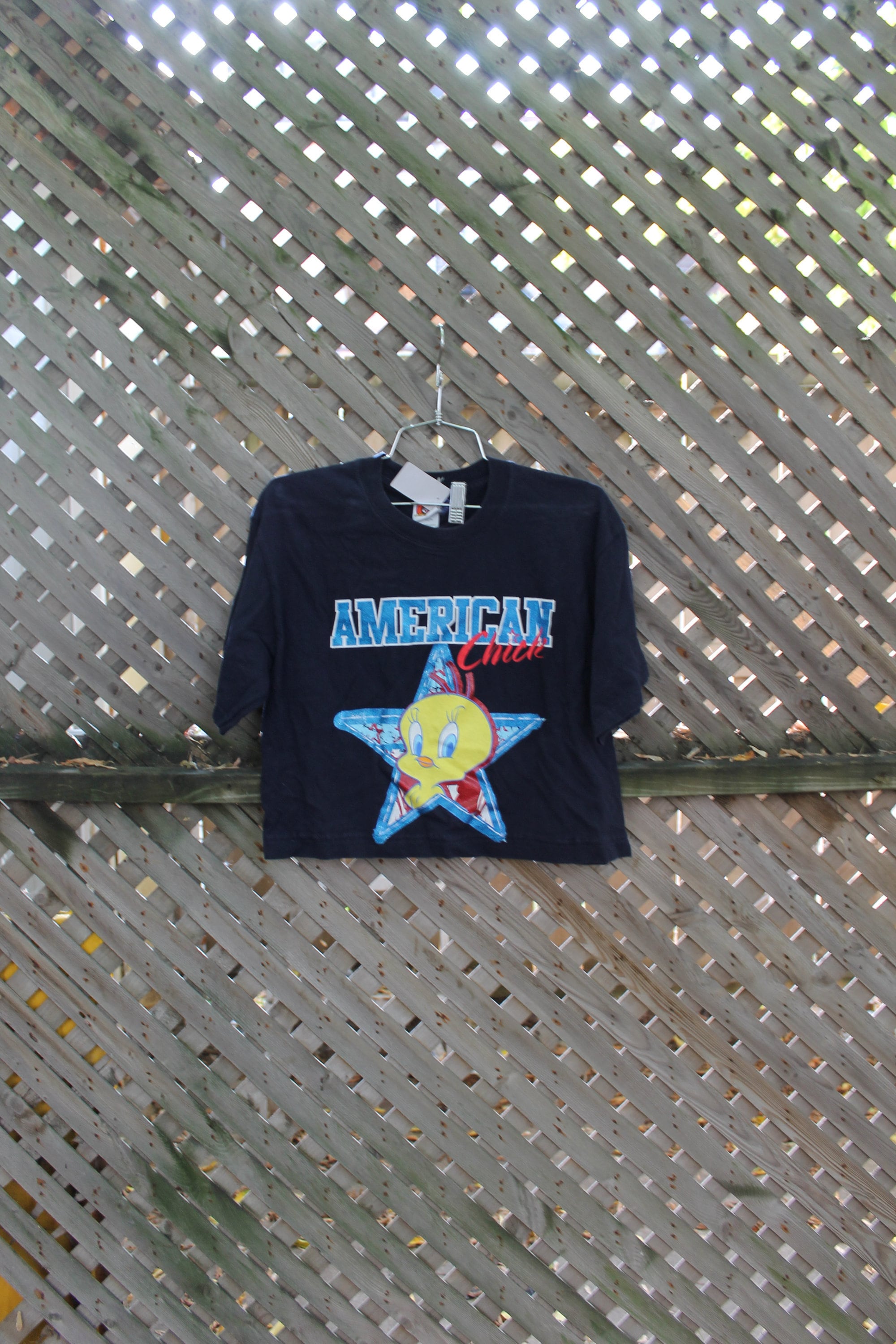 Vintage 1990s Looney Tunes Tweety Bird Graphic T Shirt