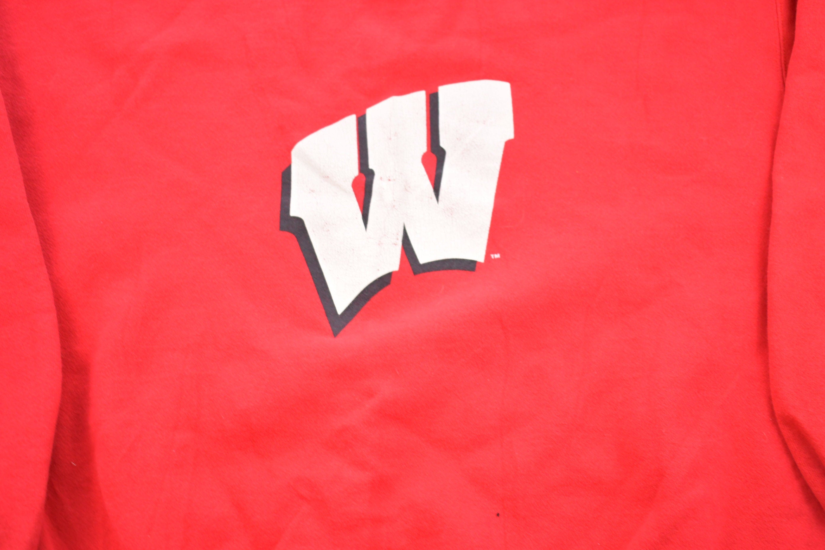 Vintage 1990s University Of Wisconsin Badgers Champion Crewneck Sweatshirt