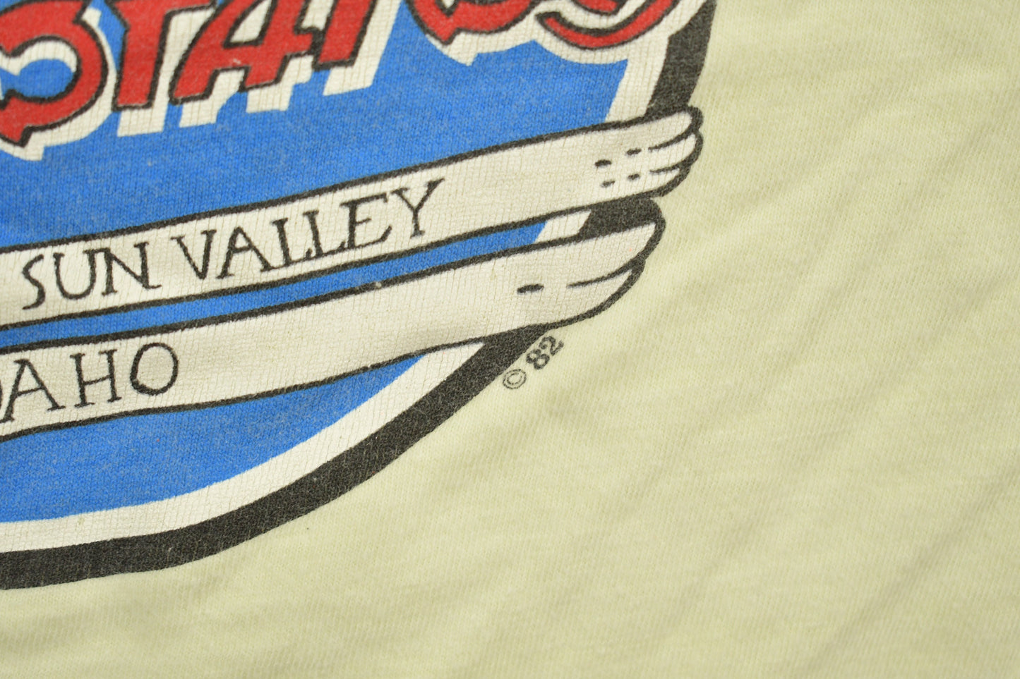 Vintage 1980s Idaho Sun Valley Potato Souvenir T Shirt / Streetwear / Made In USA / Vacation Tee / Travel T Shirt / Single Stitch