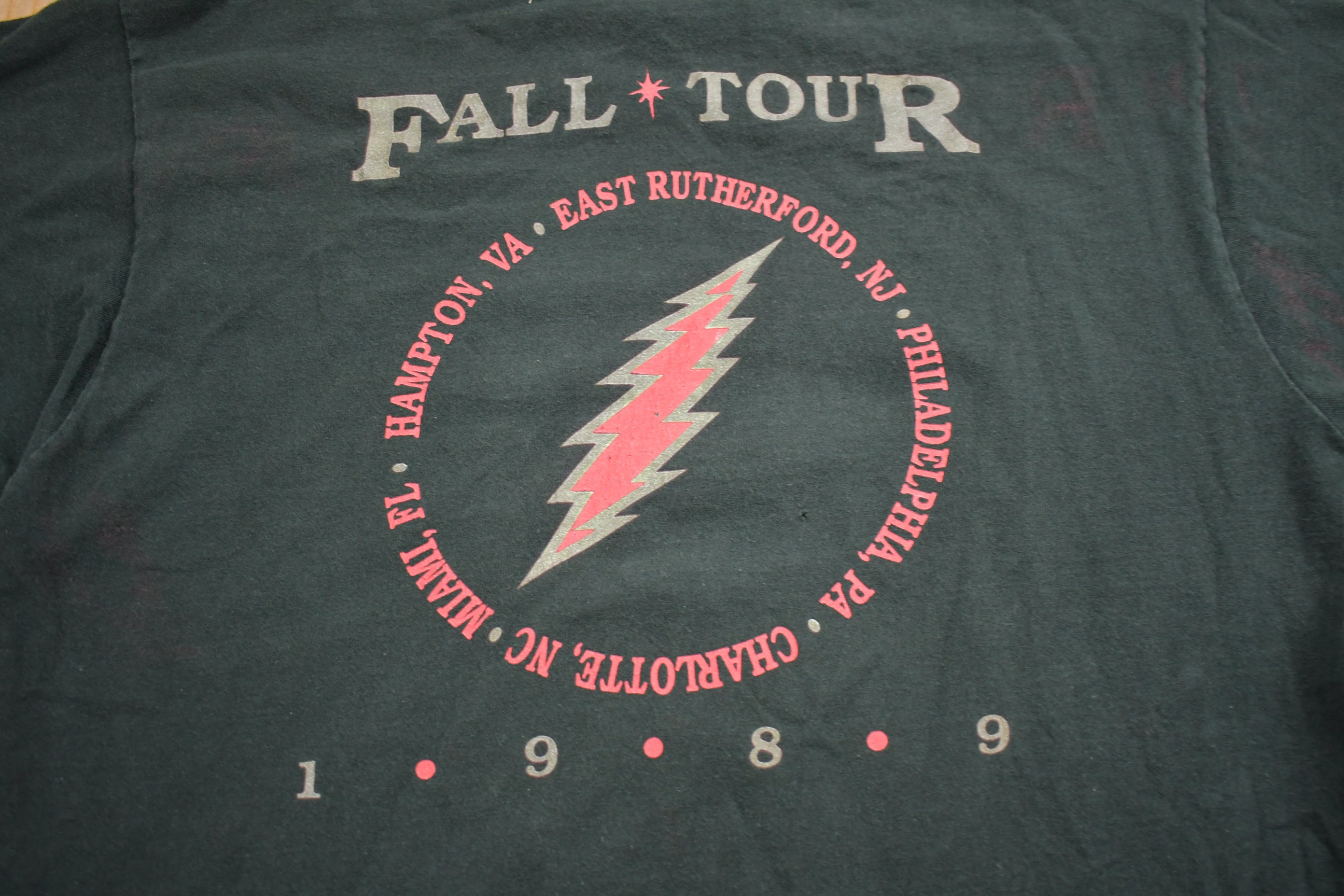 Vintage 1989 Grateful Dead Fall Tour Graphic Band Tee Single Stitch