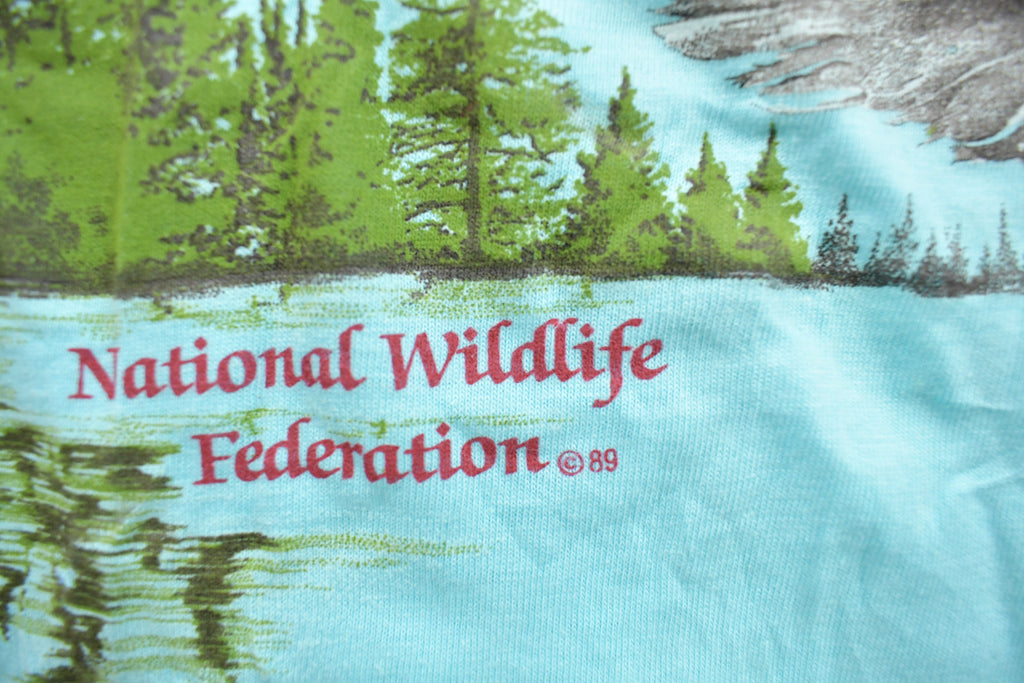 Vintage 1989 National Graphic Flying Eagle T Shirt