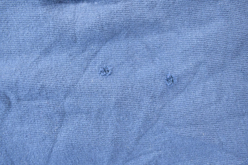 Vintage 1990s Champion Reverse Weave Blank Blue Sweatshirt