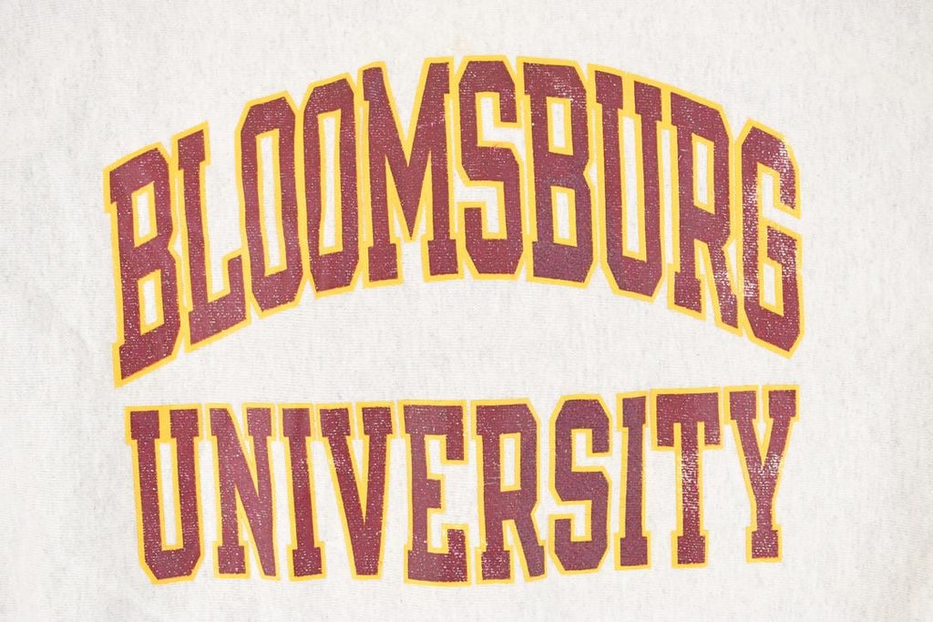 Vintage Y2K Champion Reverse Weave Bloomsburg University Crewneck Sweatshirt Mens L