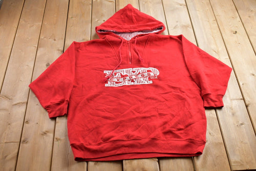 Vintage 1990s Express Athletique Graphic Quarter Zip Hoodie / 90s Hoodie / Vintage Sweater / Pin Striped / Embroidered / Express Vintage
