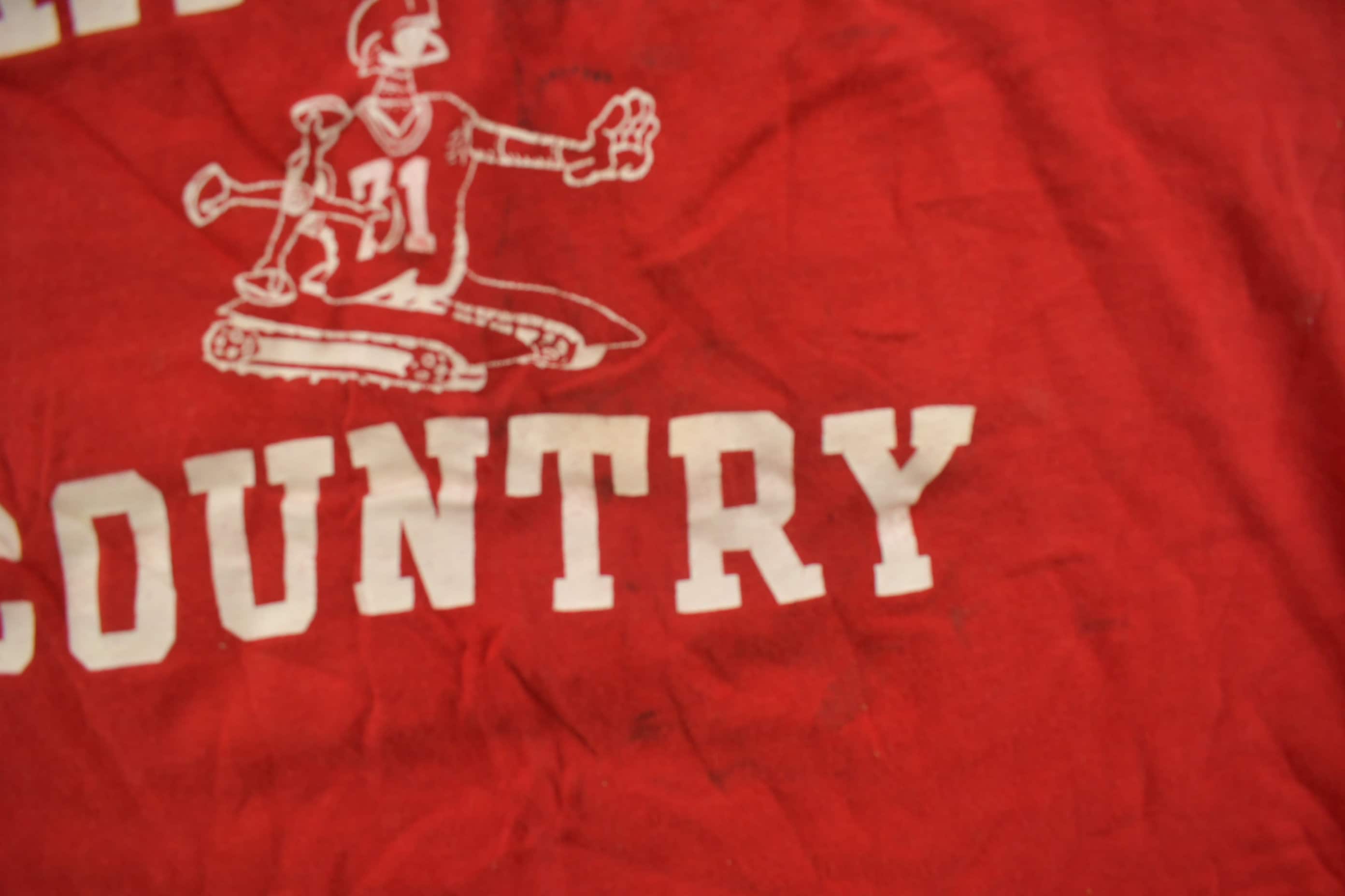 Vintage 1974 Big Red Machine Country Jersey Style Champion T Shirt