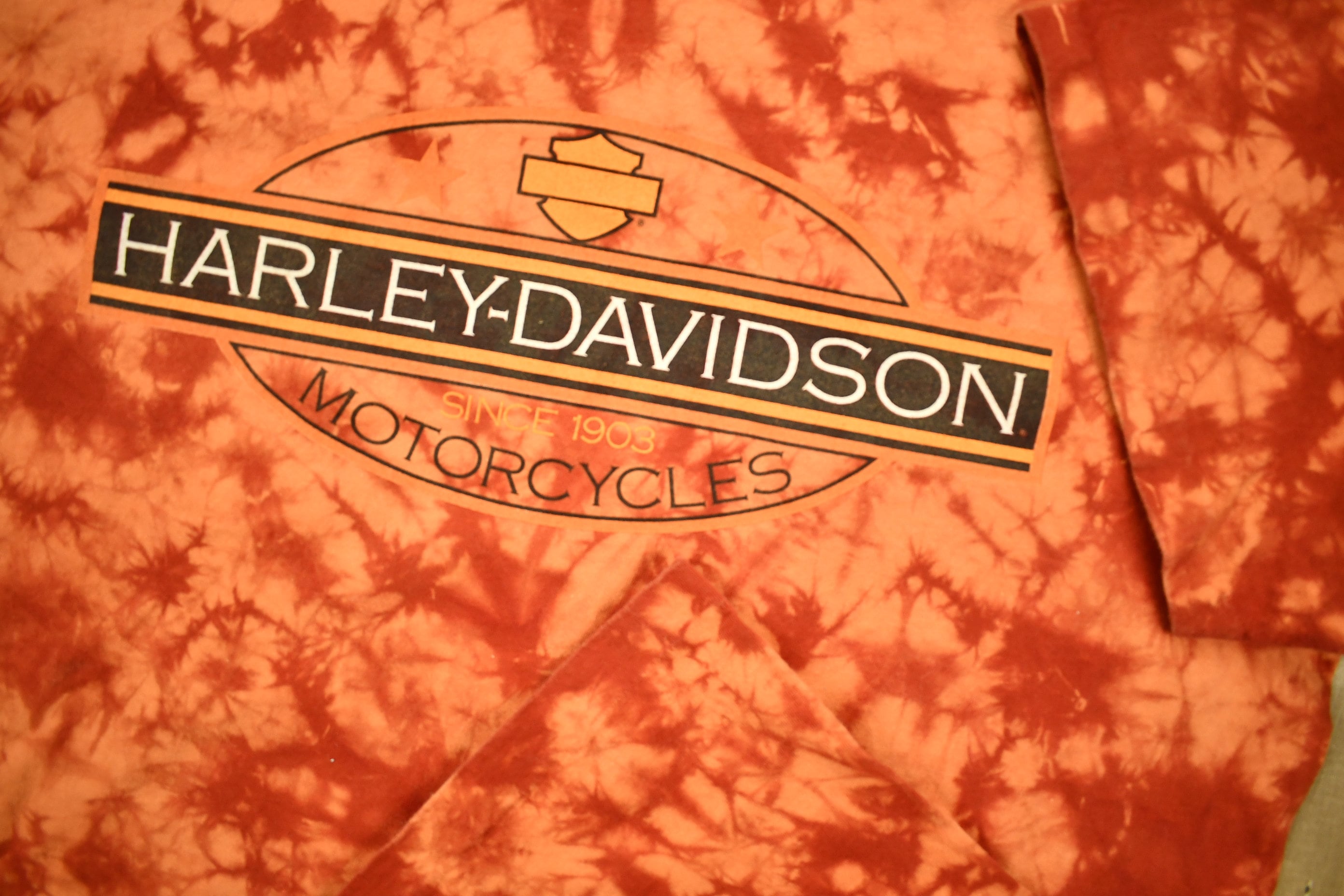 Vintage 1990s Harley Davidson Motorcycles Bear Tooth Cody Wyoming T-Shirt