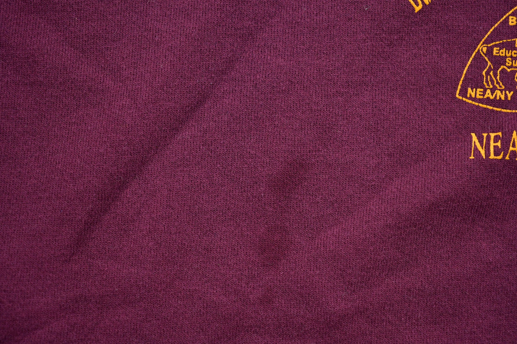 Vintage 1990s Buffalo Educational Support Team Crewneck Sweatshirt