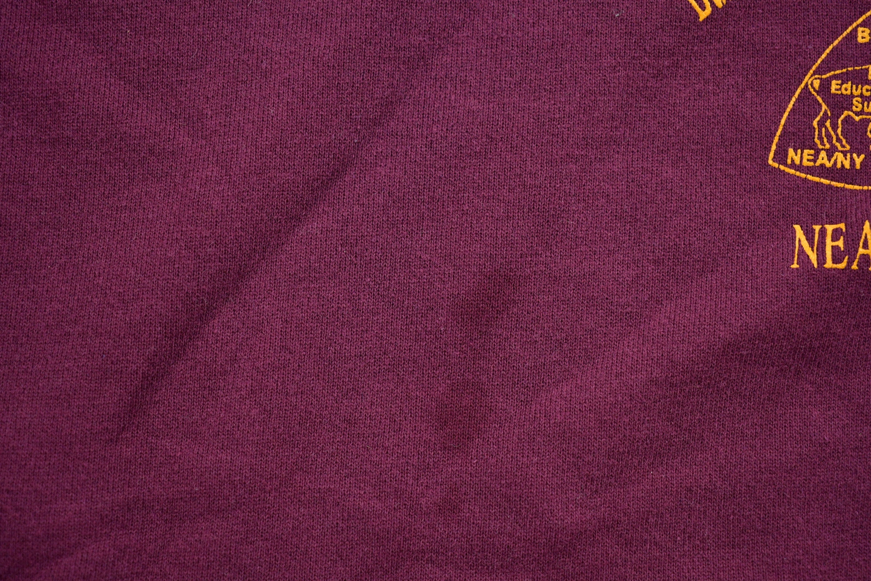 Vintage 1990s Buffalo Educational Support Team Crewneck Sweatshirt