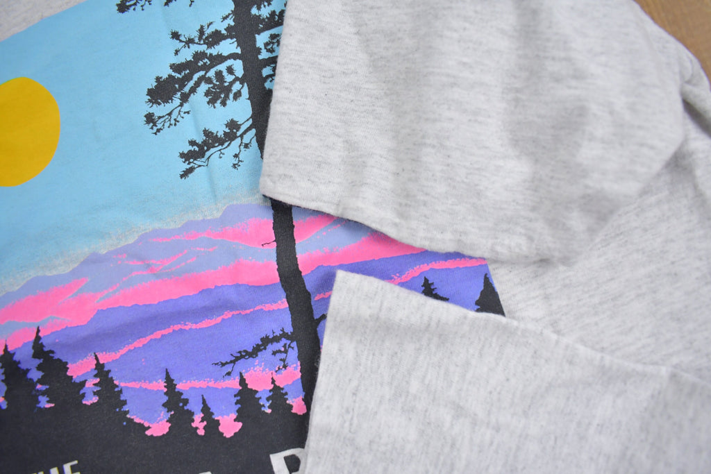 Vintage 1990s The Ozarks Missouri Souvenir T Shirt  Streetwear  Made In USA  Double Layer  Travel T Shirt  Single Stitch  Outdoorsman