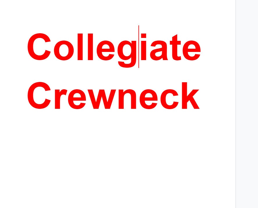 Vintage 1990s University Of Wisconsin Champion Crewneck