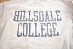 Vintage 1990s HIllsdale College Champion Reverse Weave Crewneck Made In USA