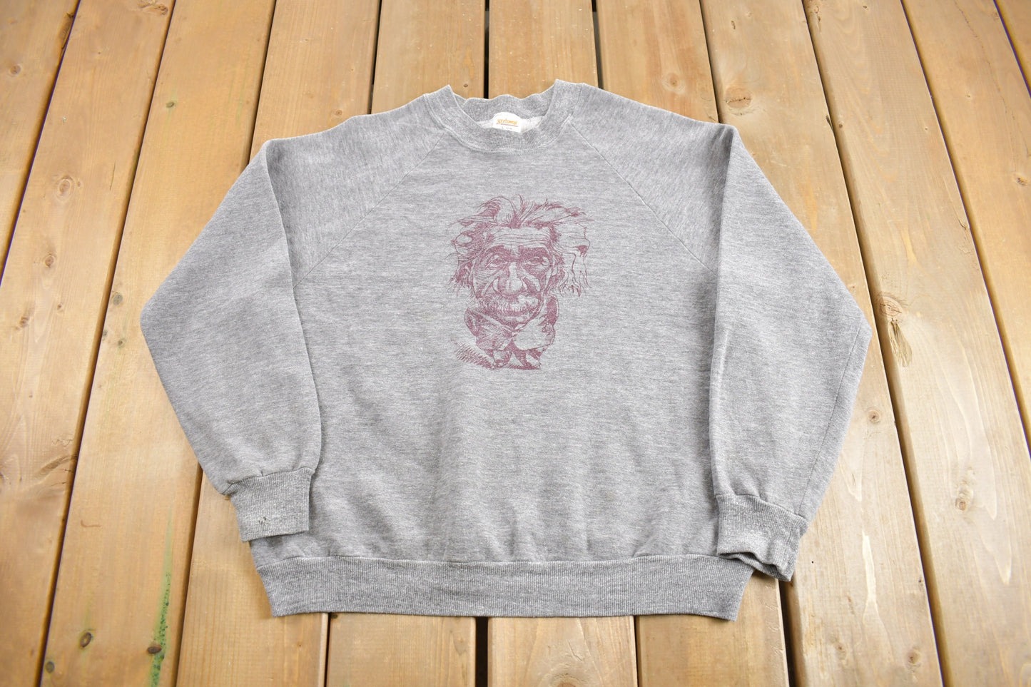 Vintage 1970s Albert Einstein Raglan Crewneck Sweatshirt / 70s Crewneck / Made In USA / True Vintage