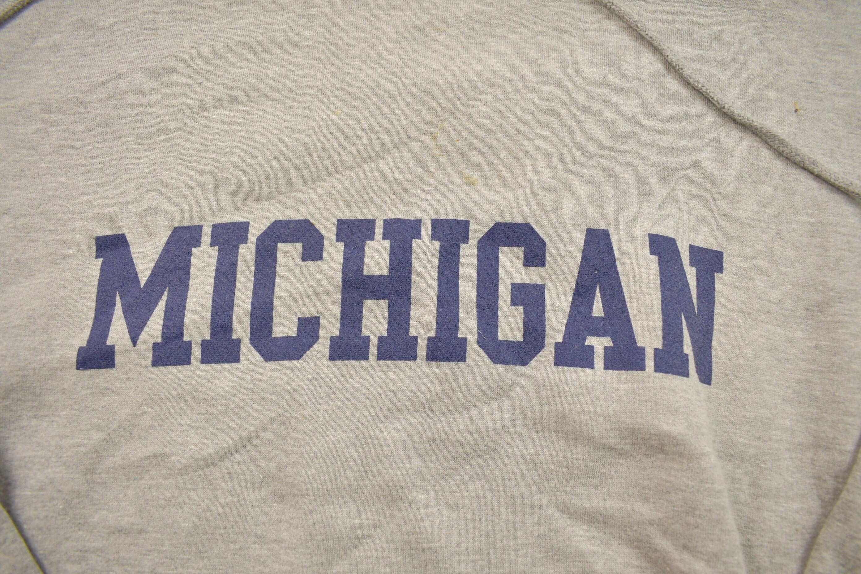 Vintage 1990s Michigan Graphic Hoodie