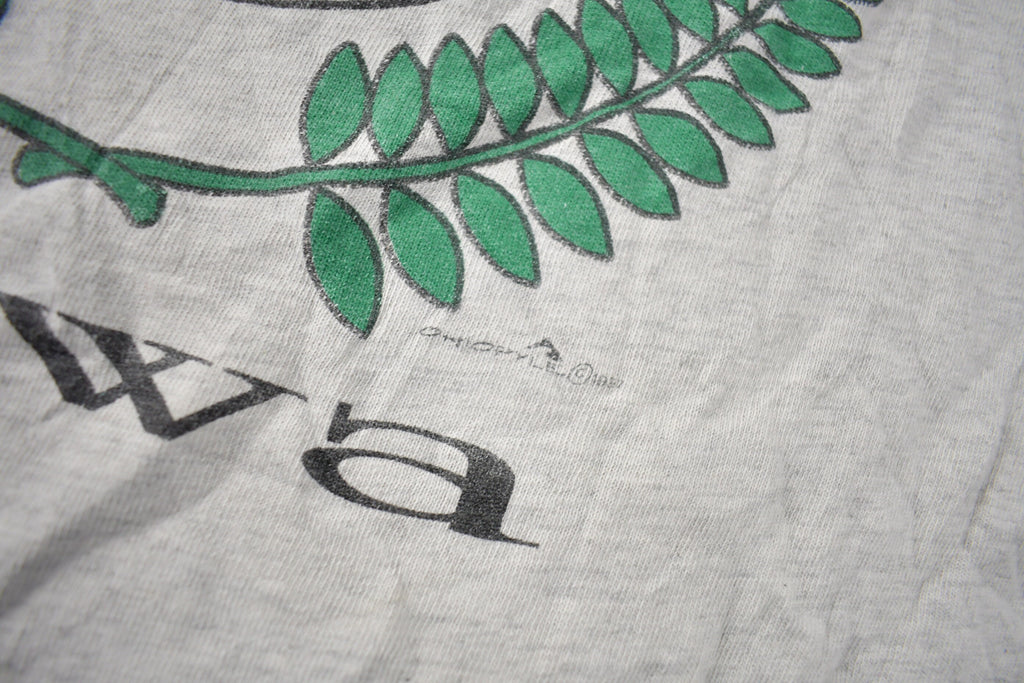 Vintage 1990s ALBERT CITY IOWA Graphic T Shirt Size M