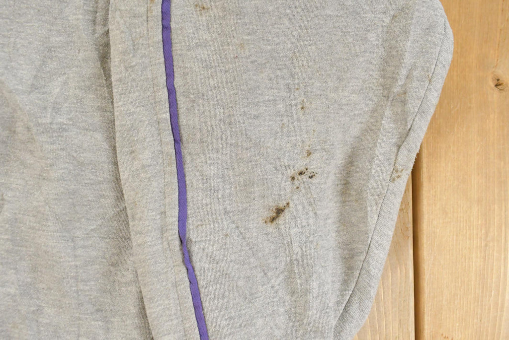 Vintage 1990s Minnesota Vikings Lee Sport NFL Hoodie Men's 2XL