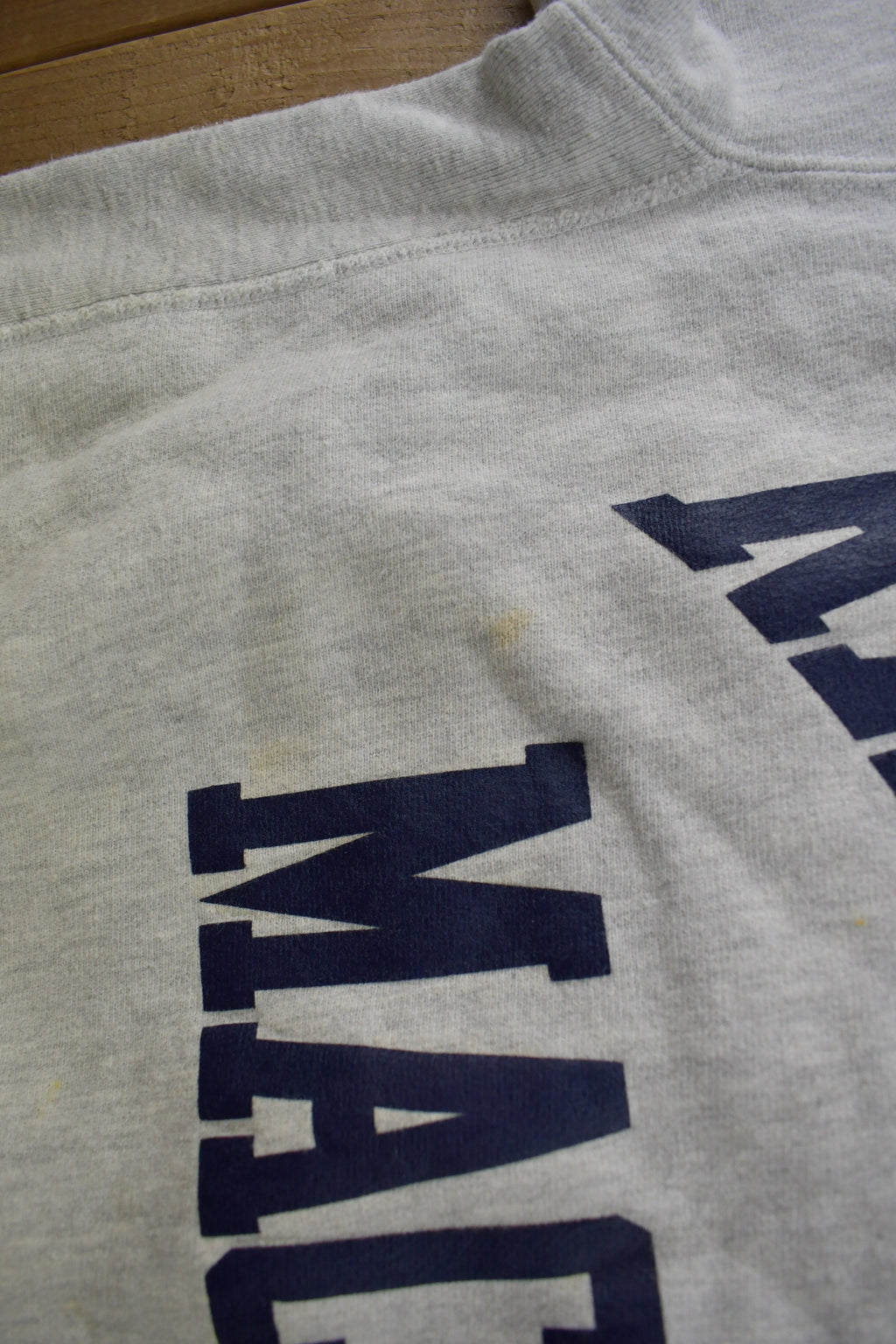 Vintage 1990s Randolph Macon College Collegiate Champion Reverse Weave Crewneck