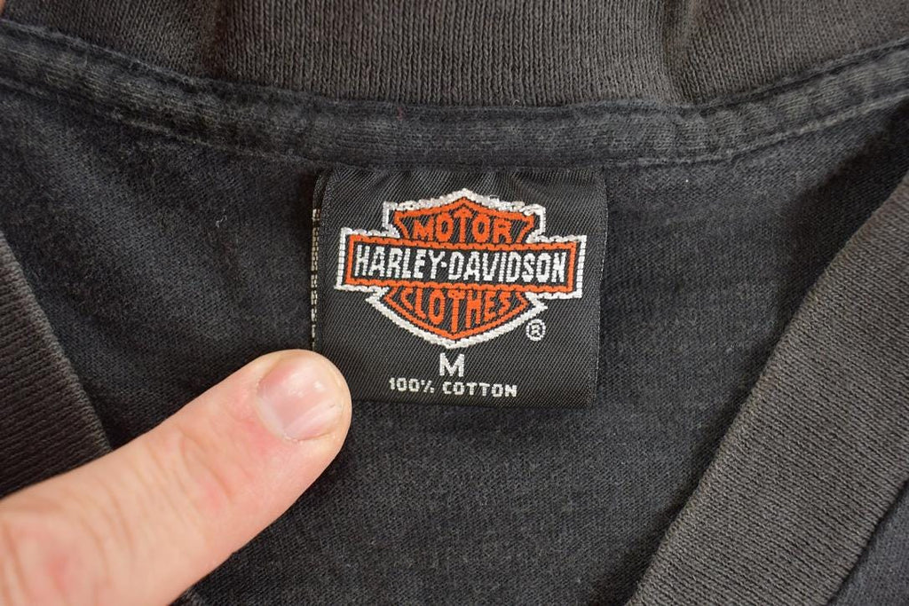 Vintage 1990s Beartooth Harley Davidson Aztec Motorcycle Souvenir T-Shirt