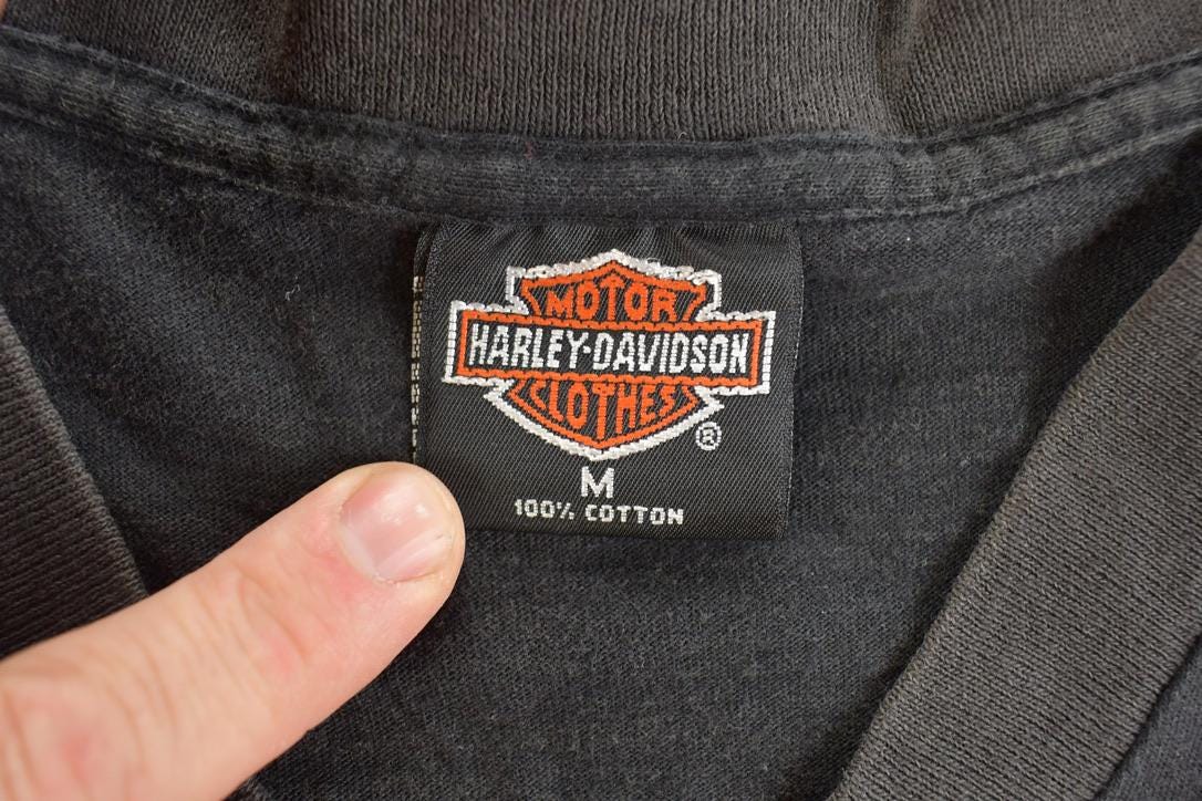 Vintage 1990s Beartooth Harley Davidson Aztec Motorcycle Souvenir T-Shirt