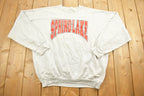 Vintage 1990s Spring Lake Crewneck Sweatshirt