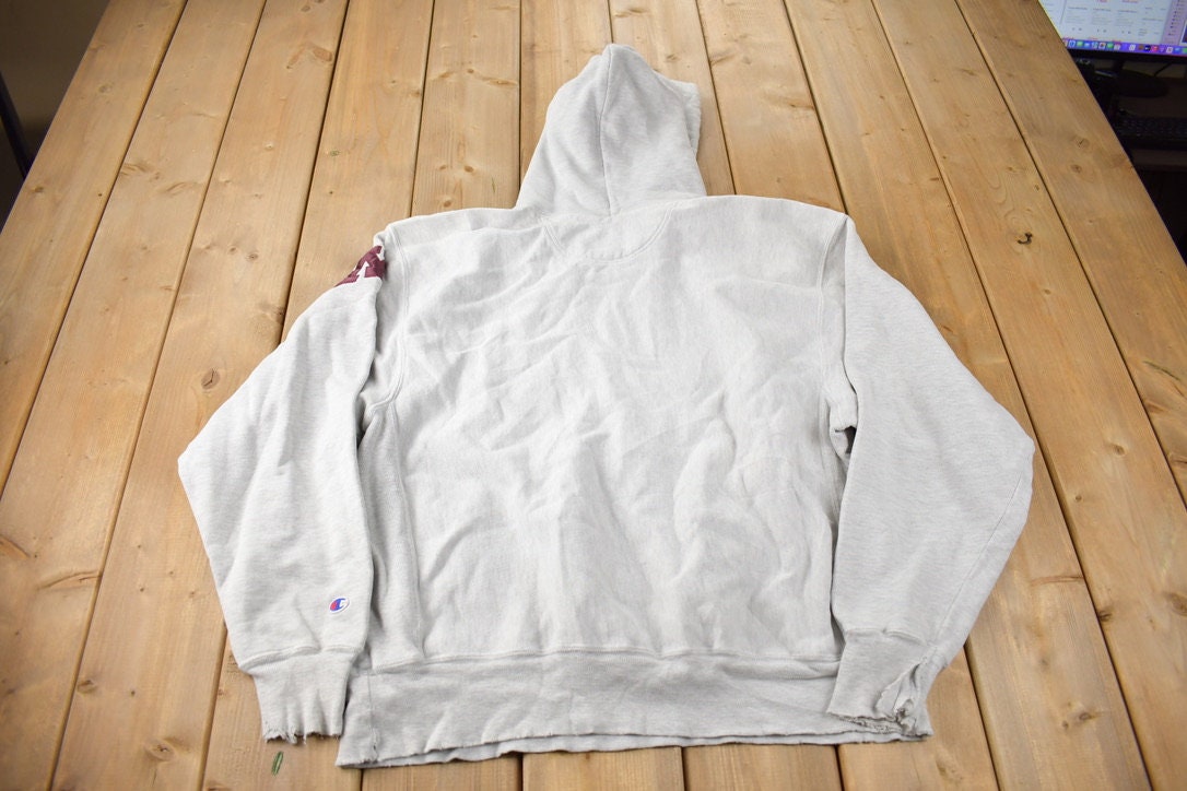 Vintage Y2K University Of Minnesota Collegiate Champion Reverse Weave Hoodie