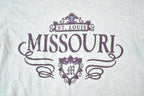 Vintage 1990s Jansport St Louis Missouri Souvenir T-Shirt Mens M