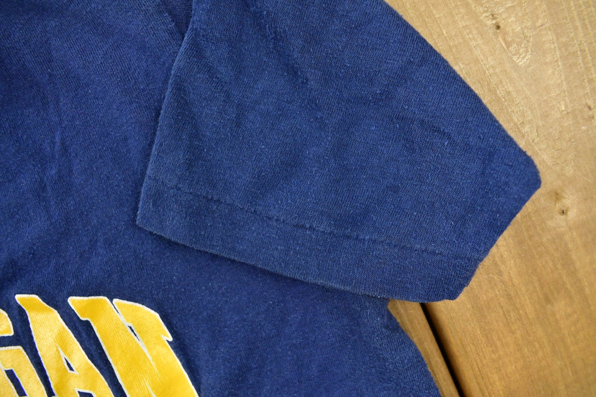 Vintage 1970s University of Michigan State Youth Size Collegiate T-Shirt