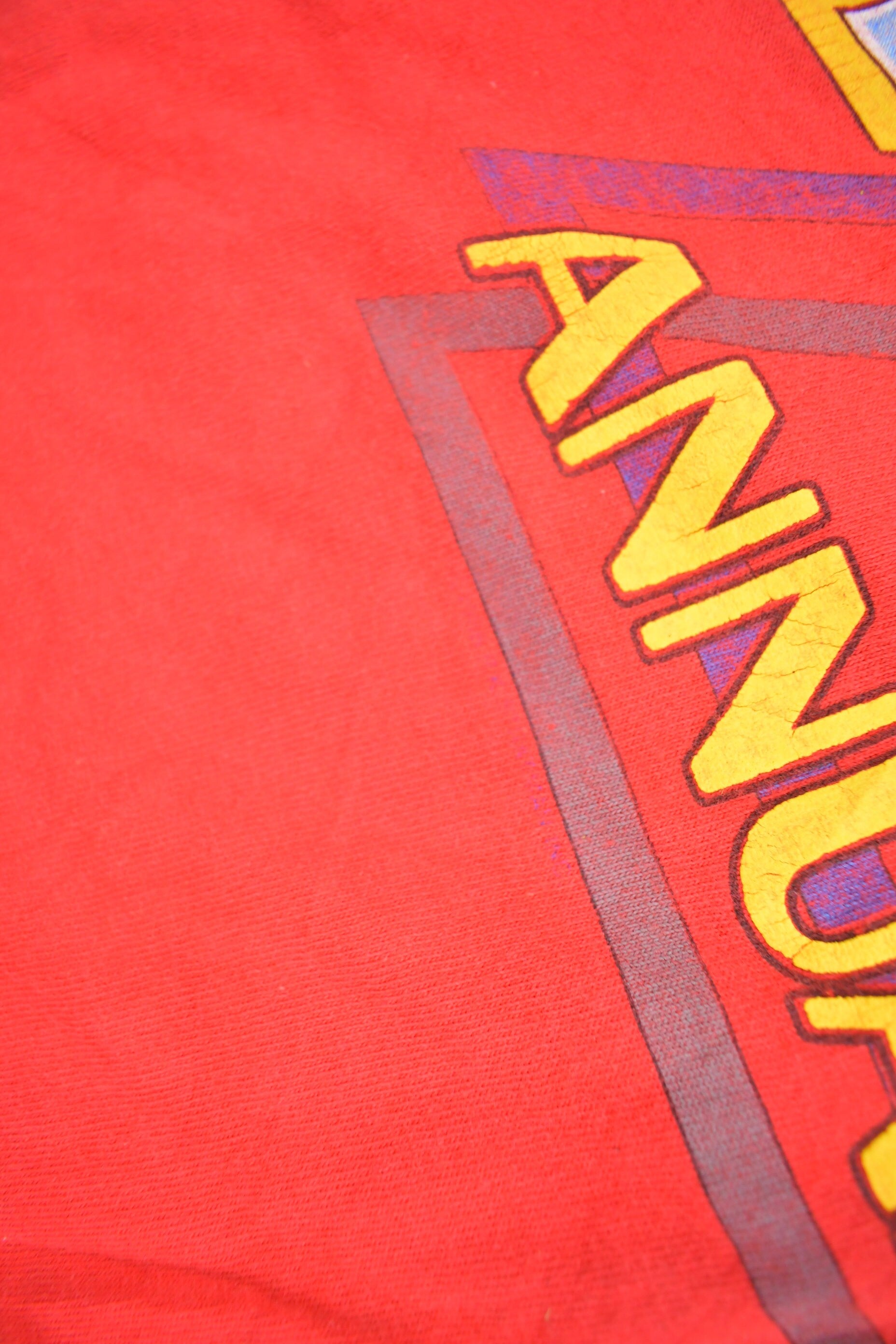 Vintage 1988 Harley Davidson HOG Rally T-Shirt