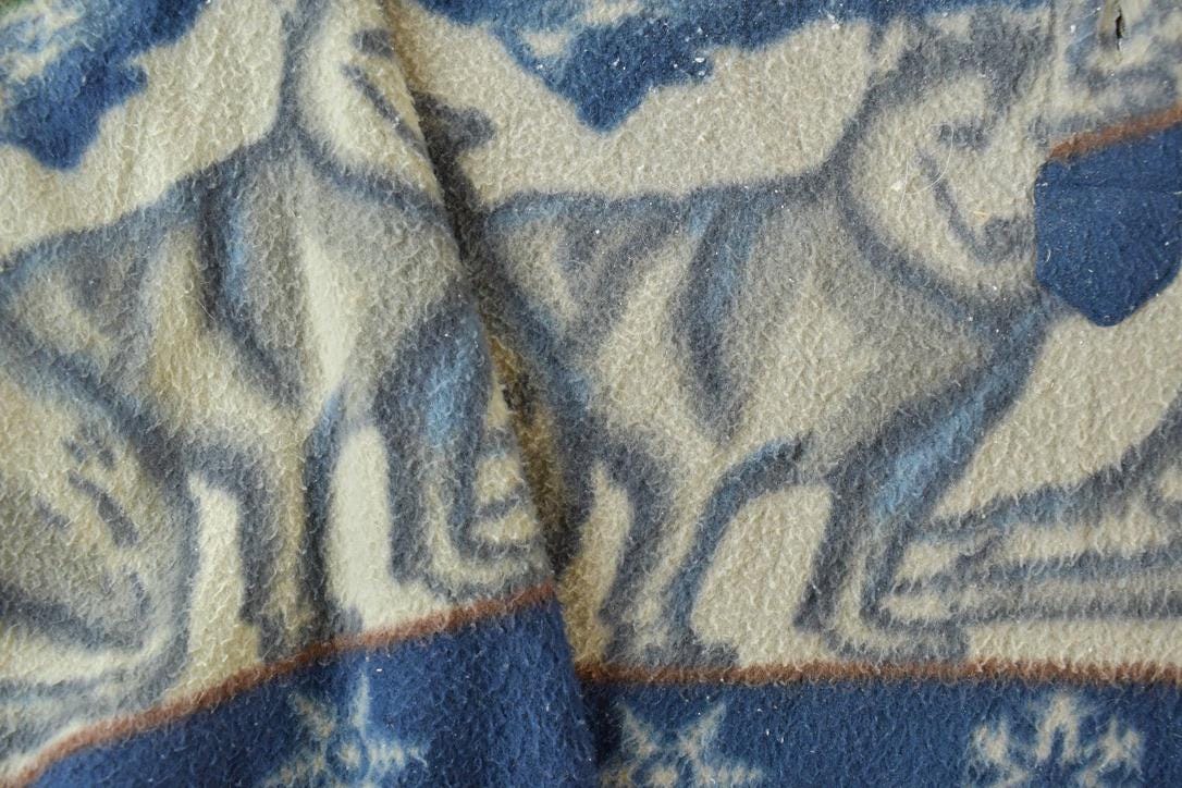 Vintage 1990s Ash Creek Wolves Fleece Sweater