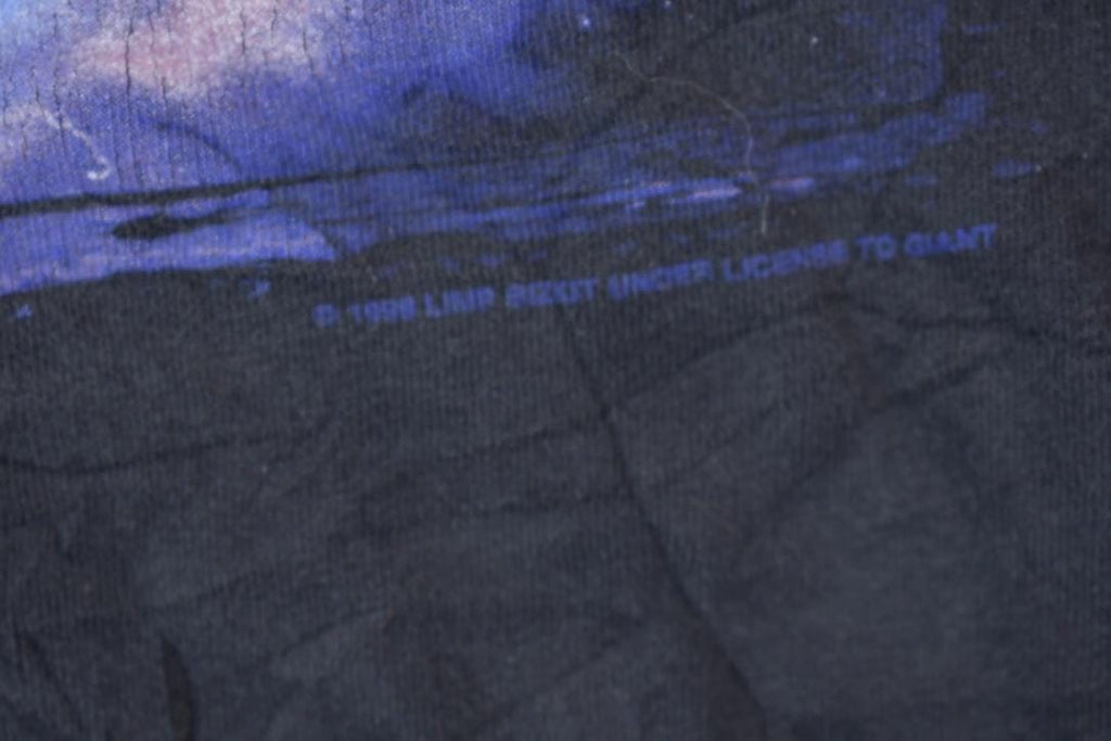 Vintage 1999 Limp Bizkit Graphic Band T-shirt