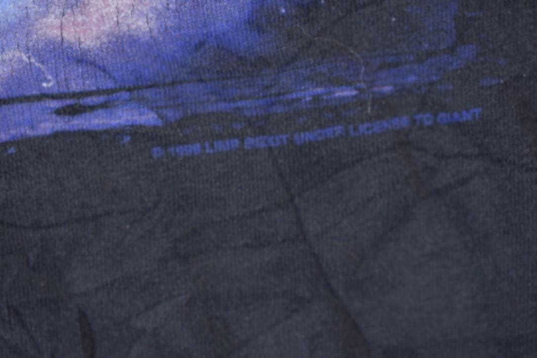 Vintage 1999 Limp Bizkit Graphic Band T-shirt