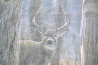 Vintage 1990s Whitetail Deer Big Buck Hunting Theme Graphic T-Shirt
