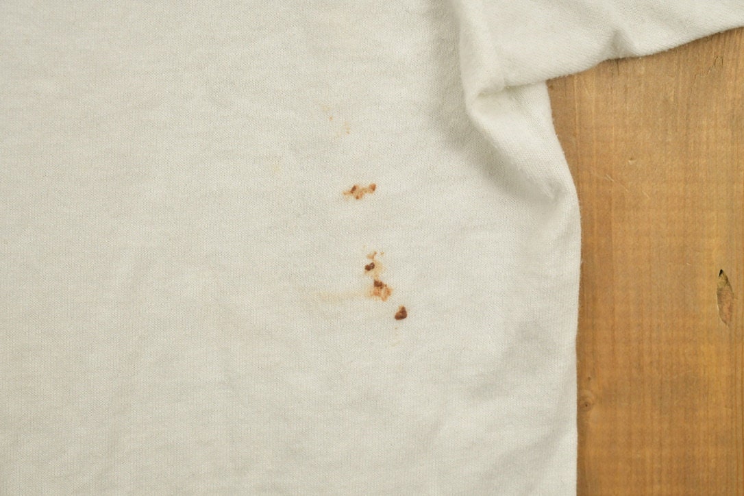 Vintage 1990s Brockton H.S Funny Graphic T-Shirt / Streetwear / Retro / Single Stitch / Hum Eur / 90s Graphic Tee / Colligate / Cartoon