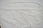 Vintage 2000 Big Dogs Graphic T Shirt